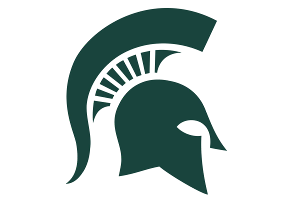 mich state