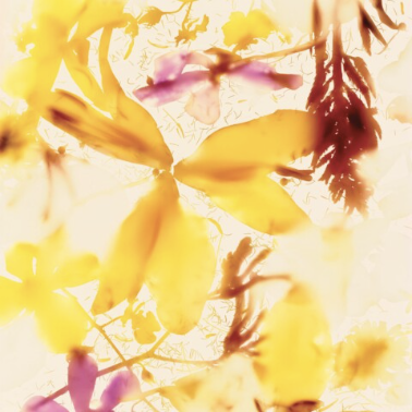 Screenshot 2025-08-12 at 5.37.13 PM