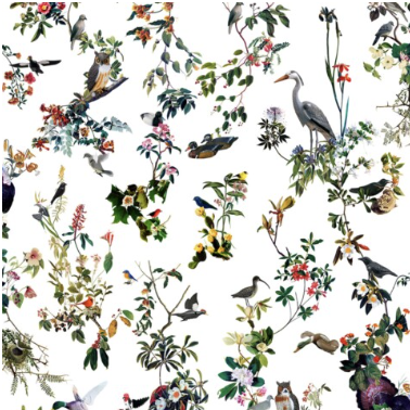 Screenshot 2025-08-12 at 5.38.15 PM